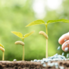 Heimker Investing Fund Performance Report – March 2022