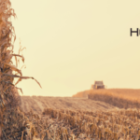 Heimker Investing Fund Performance
