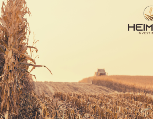 Heimker Investing Fund Performance